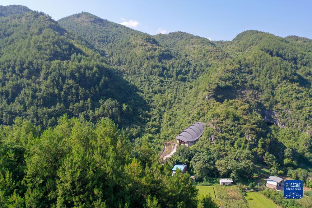 打三公规则